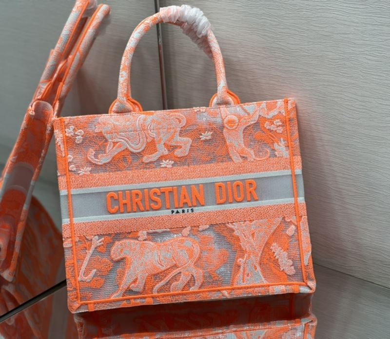 Christian Dior Shopping Bags